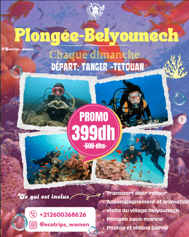 Offre Plongée - Belyounech